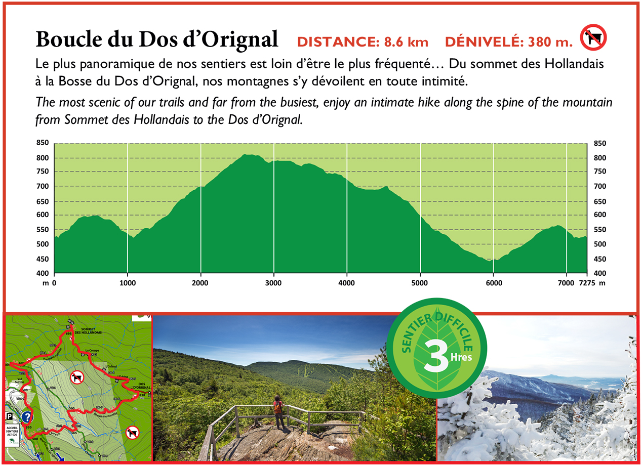 Carte boucle Dos d'orignal